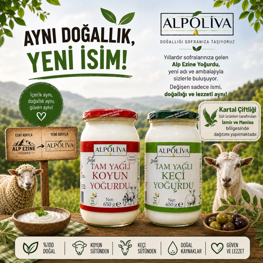 Tam Yağlı Koyun Yoğurdu